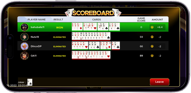 ludo game play